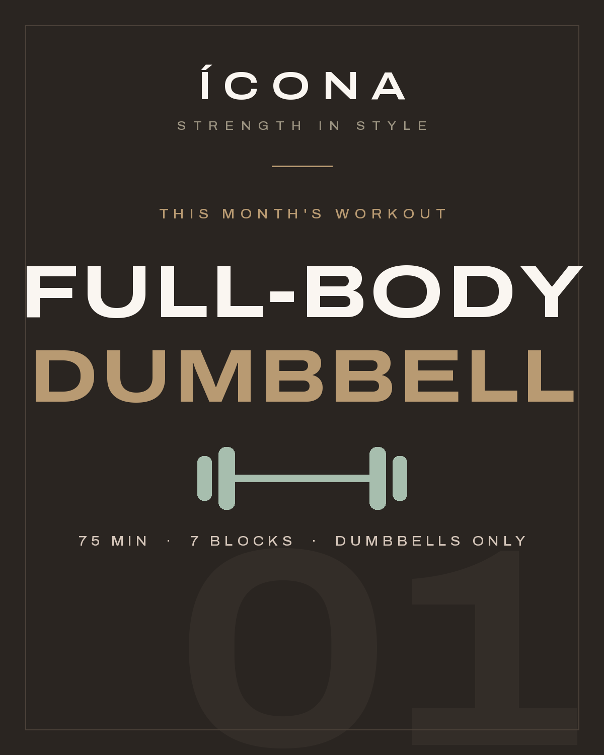 Full Body Dumbbell Workout